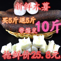 Fresh bread cassava consumption of non-toxic red skin white flesh white heart raw cassava non-yellow flesh yellow heart plate chestnut tree fries