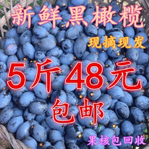 Fresh now off Guangxi raw black rugby rugby 5 catty rugby rugby rugby rugby rugby rugby rugby rugby rugby rugby rugby rugby rugby rugby rugby rugby rugby rugby rugby