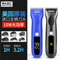 Wall professional electric clipper 2230 hair clipper hair salon special 2235 oil head carving shaving knife hair artifact