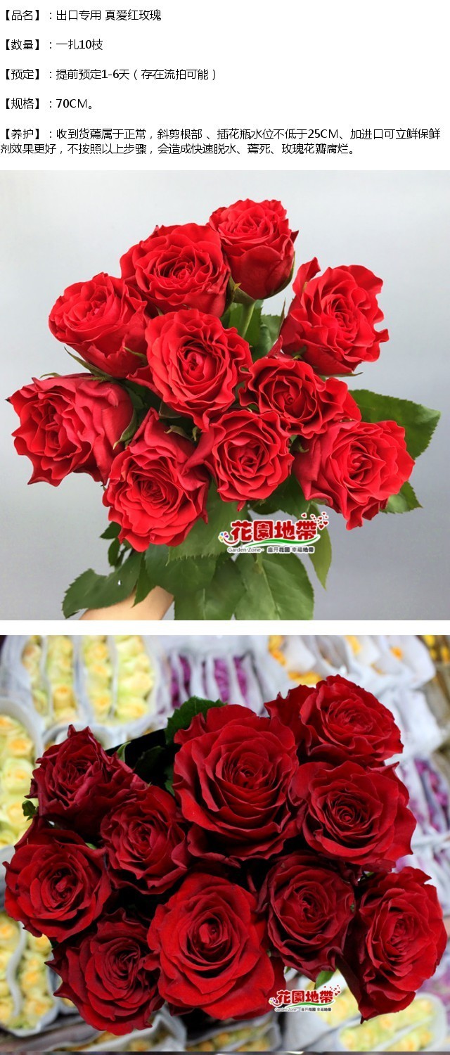 保证新鲜 出口专用优质红玫瑰 真爱品种红玫瑰10枝 北京鲜花速递_7折