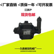 Hydraulic system Variable vane pump HVP-30 HVP-40 Flat key spline ELITE JUNTAI high and low pressure pump