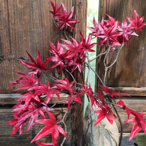 Simulation Maple Leaf red maple chicken claw Maple zhaicai Maple make landscaping decoration branches
