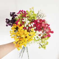 Simulation Full Star Pvc Color Full Star Vase Decoration Photography Accessories Emulation Full Of Stars