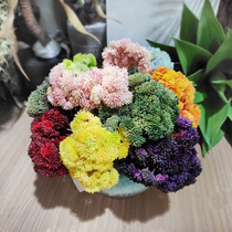 Simulated rice fruit plastic Short-branch hydrangea DIY flower arrangement accessories floral multi-meat color Meat Fruit