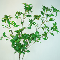 Simulation of horse drunken Wood single multi-fork bell tree light luxury decoration furnishings green branches horse drunken Wood leaves