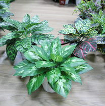 Simulation mini potted cats eye evergreen leaf plant desk decoration simulation green gardening engineering set