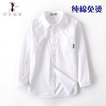 Boy free of scalding white shirt with long sleeves pure cotton Children performance chorus officialdThe dress white shirt Elementary school uniforms