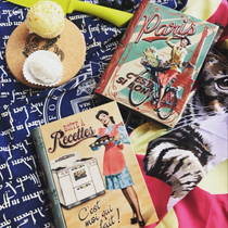 Export French Retro Girl Three-dimensional book tinplate kitchen desktop storage box home storage box