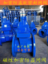 Magnetic locking anti-theft soft seal gate valve Encrypted gate valve with lock gate valve