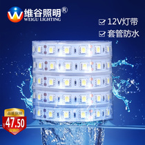 LED waterproof light belt 5050 patch 60 beads 12V casing waterproof ceiling modeling garden light Outdoor waterproof light strip