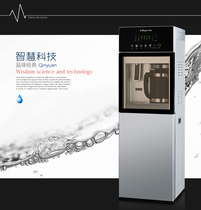 Kitchen vertical cold and heat filter water purifier