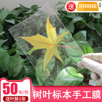Leaf specimen plastic film Cold film 6 inch A4A6 manual self-adhesive Photo Paper Photo plant bookmarks cold surface film