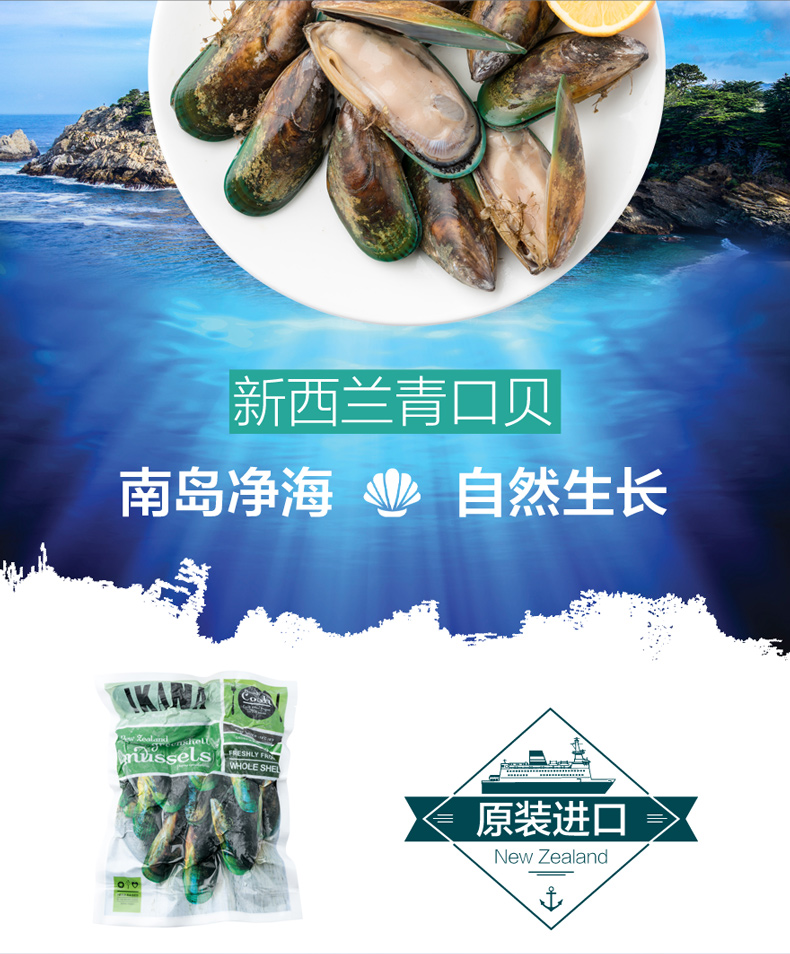 新西兰全壳青口贝400g 进口海鲜海鲜水产