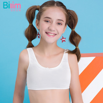 Bai Ling Bai Li girl bra development bandeau student junior high school underwear small vest chest pad bra 91108