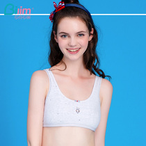 Bai Ling Bai Li girl bra No rimless bandeau underwear High school student bra college student thin BZX0139