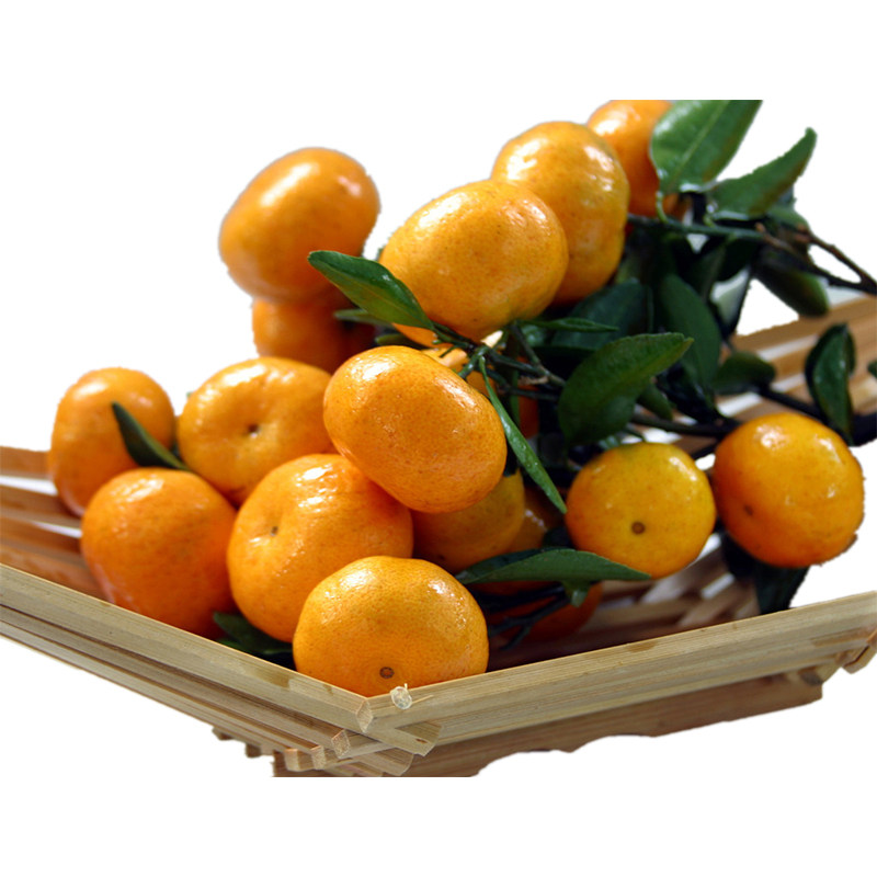 天猫正宗广西武鸣沃柑10斤装