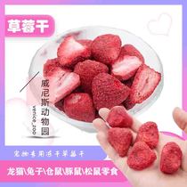 (OVER 68)Pet strawberry DRIED snacks 20G CHINCHILLA HAMSTER rabbit Guinea pig contains vitamins