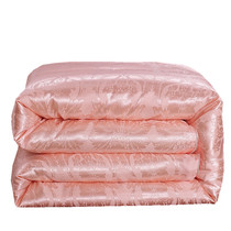 Winter silk quilt 100 spring and autumn quilt mulberry silk air conditioning quilt cotton satin quilt core thickened winter quilt summer quilt