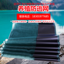 Small Lobster Anti-Escape Nets Crab Frog Loach Yellow Eel Farming Anti-Escape Nets Lobster Enclosure Mesh Cloth Thickened Anti-Escape Cage