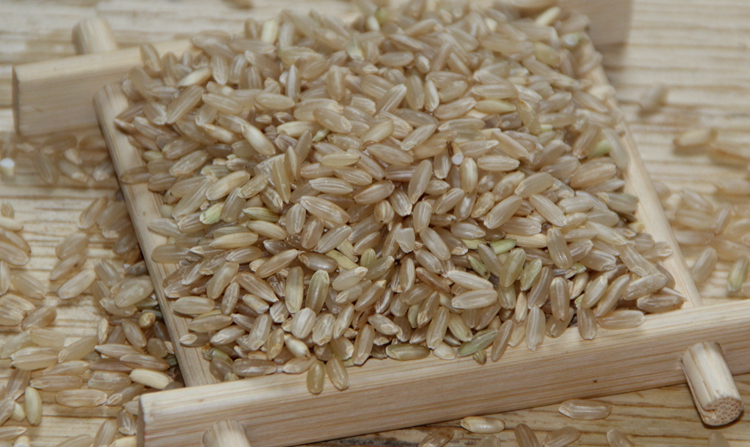 东北五常稻花香糙米 糙大米玄米营养农家胚芽米可发芽新糙米250克