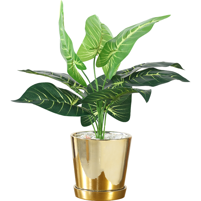 The house, The Nordic ins golden light wind key-2 luxury ceramic flower POTS decoration creative furnishing articles contracted fake, suit small potted flower