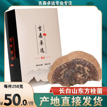 Changbai Mountain wild Oriental plug fungus Gray plug fungus Natural Nyingchi Ganoderma Lucidum 2 pieces