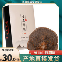 Changbai Mountain wild split hoof layer pore bacteria Pure wild Ganoderma lucidum split hoof Linzhi 2 pieces