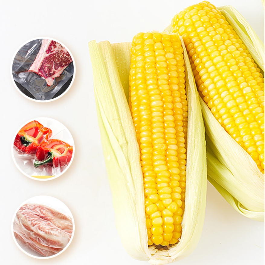 北纬47水果鲜玉米200g6穗