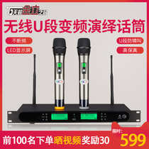 Teana D series anti-howling U segment wireless microphone Home KTV conference room Karaoke stage interpretation wireless microphone