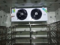 DD Series Cold Blower Custom Cold Blower Cold Storage Cold Bank Cold Blower Evaporator Air Cooler