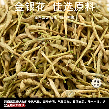 九州天润金银花50g！枸杞菊花泡水[5元优惠券]-寻折猪