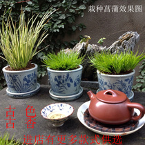 (Special) Daming Wanli blue and white flower pattern calamus flower pot antique porcelain folk antique old Collection