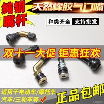 Car Alloy Motorcycle Electric Car Vacuum Mouth Metal Rubber Curved Mouth Straight Mouth Vacuum Tire Gas Mouth Gas Mouth