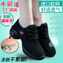 Bull Bar Dancer Dance Shoes Dancing Shoes Women Soft Bottom Mesh Sneakers Breathable Water Soldiers Dance 2019 Square Dance Shoes 5595