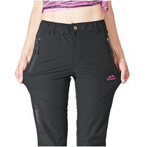 Summer outdoor quick-drying pants womens thin stretch hiking pants mens ice silk large size sports and leisure pants mountaineering pants women
