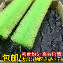 Fish Tank Fish Pond Filter Hairbrush Aquarium Brocade Carp Pool Filter Material Stainless Steel Cross Triangle Green Brush