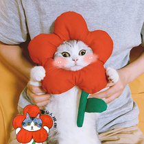 Chirping Meoworiginal hand-made small flower head decoration Pet cross-dressing cat headgear Cute cute Japanese decoration photo