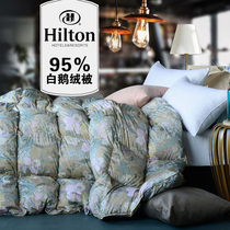 Tokyo Hilton hotel down to be thickened in winter by Hungarian imports 95 white goose down quilt core by double quilt