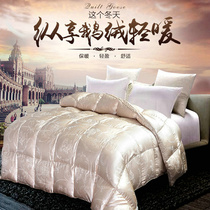 Hilton Hotel President Room Full True Silk Jacquard Import 98% Hungary white goose down warm goose down winter quilt