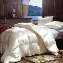 Hilton Hotel Presidential Suite Full True Silk Down to be imported Siberia 98% white goose down thickened winter has been