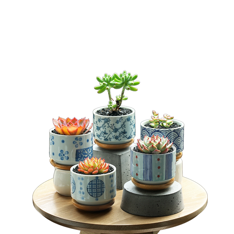 在家diy极简风花盆!