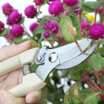 Durable stainless steel pruning twigs and branches garden tools scissors succulent plants flower repair small scissors z