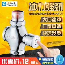 Squat toilet flush valve hand press toilet toilet toilet urinal press delay valve flush valve switch