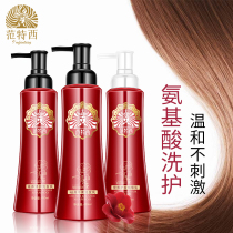 Van Tesi Hills Tea Flower Shampoo Special Cabinet Suit To Scrap Itching Control Oil Hair Care Vegetarian Aroma Persistent Aroma