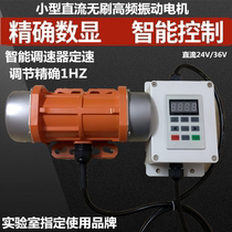 Small DC vibration motor brushless vibration motor High frequency 7200 to 24V 36V DC vibration motor