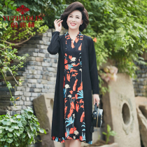 Middle-aged mother autumn dress wide wife two-piece set 2021 new middle-aged women spring and autumn skirt Noble