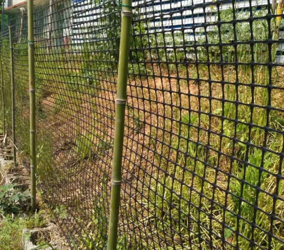 养殖鸡鸭网土工格栅圈玉米网塑料网隔离网垫脚漏粪网护栏网工程网