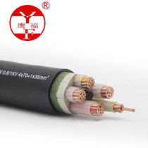 Yongtong Zhongce Holdings Cable Eagle Brand National Standard Single Core Single Cable ZR-YJV1 * 120 square