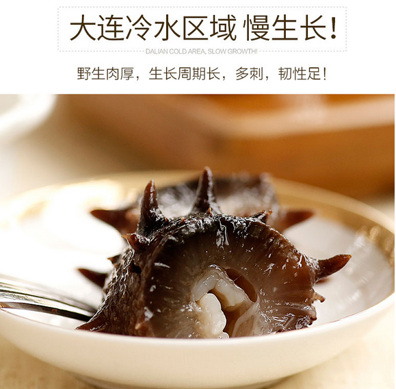 大连即食海参辽参刺参底播野生新鲜海参海鲜水产耿字号10包邮.