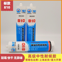 Peugeot 810 glass glue mildew-proof quick-drying neutral weather-resistant silicone adhesive caulking sealant White transparent color black